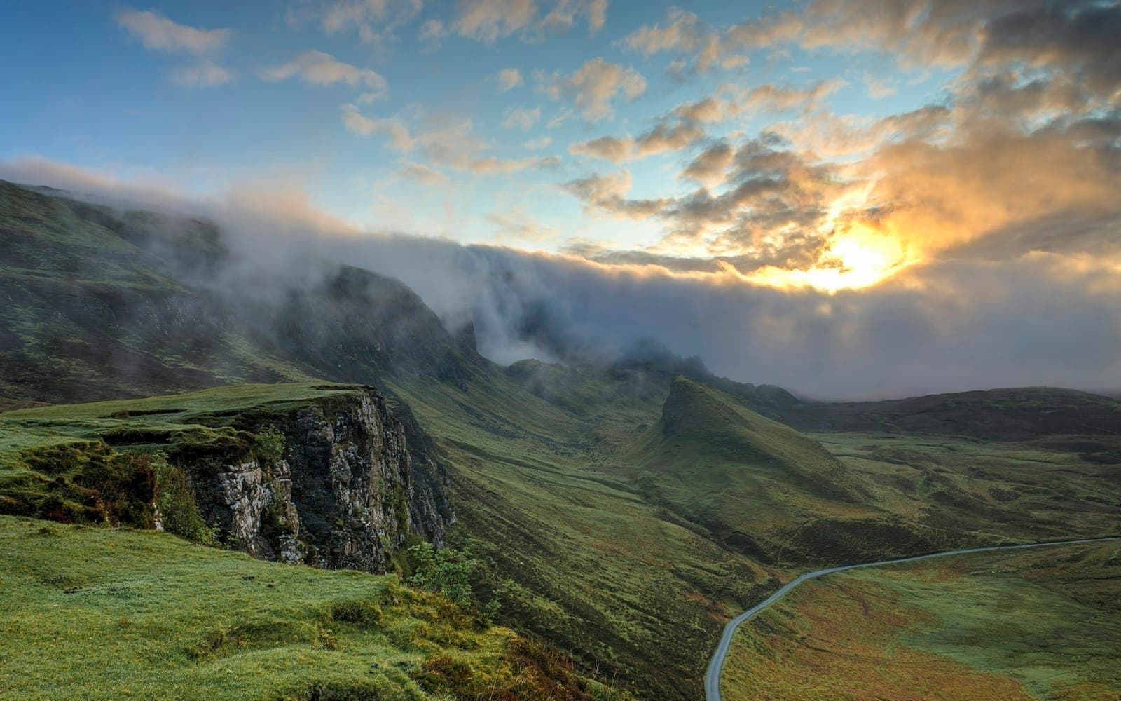 Misty forest landscape representing environmental management